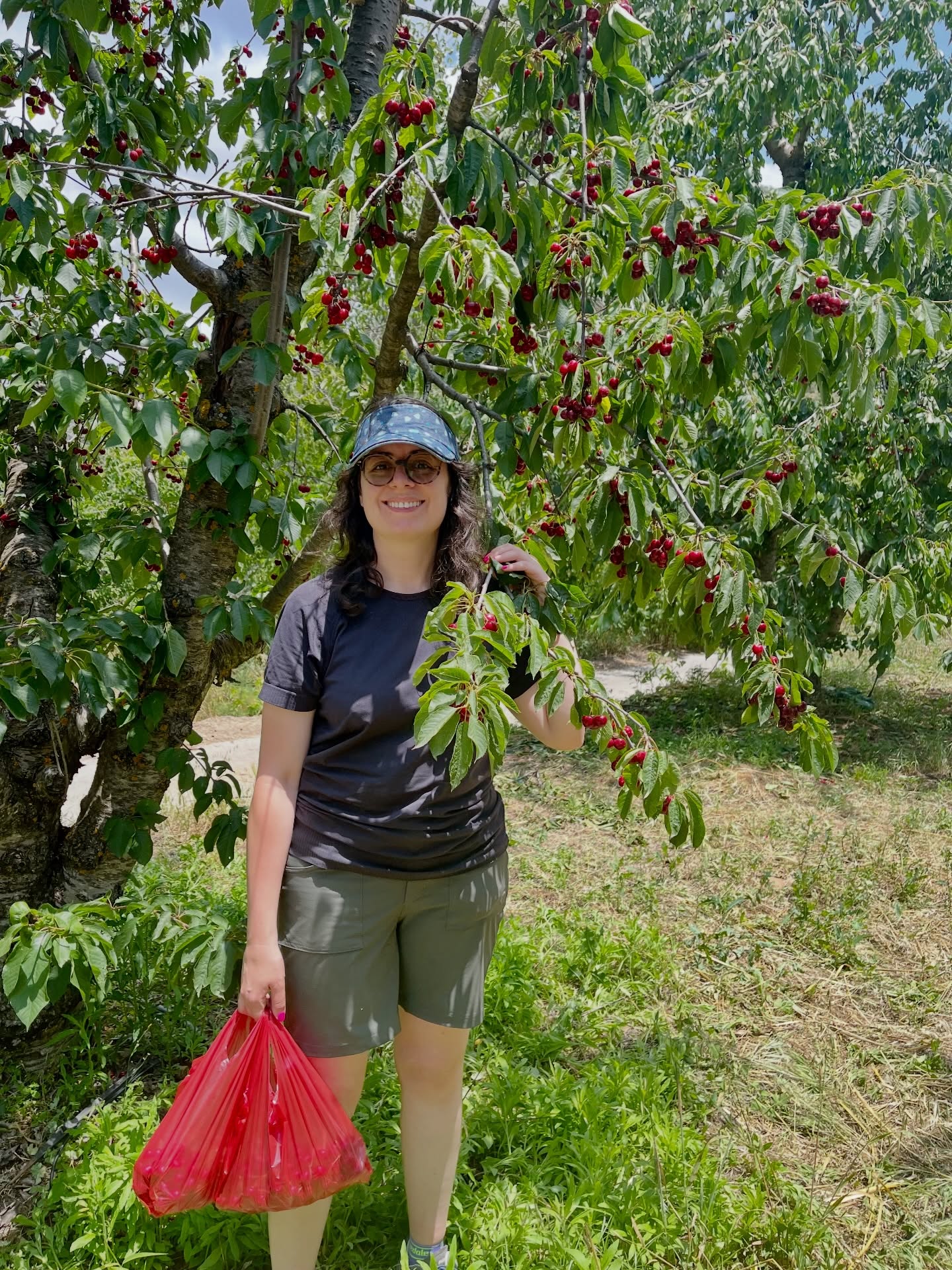 Kika Pierides picking cherries in Cyprus