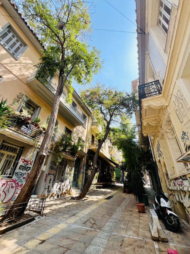 Athens street scene trees.