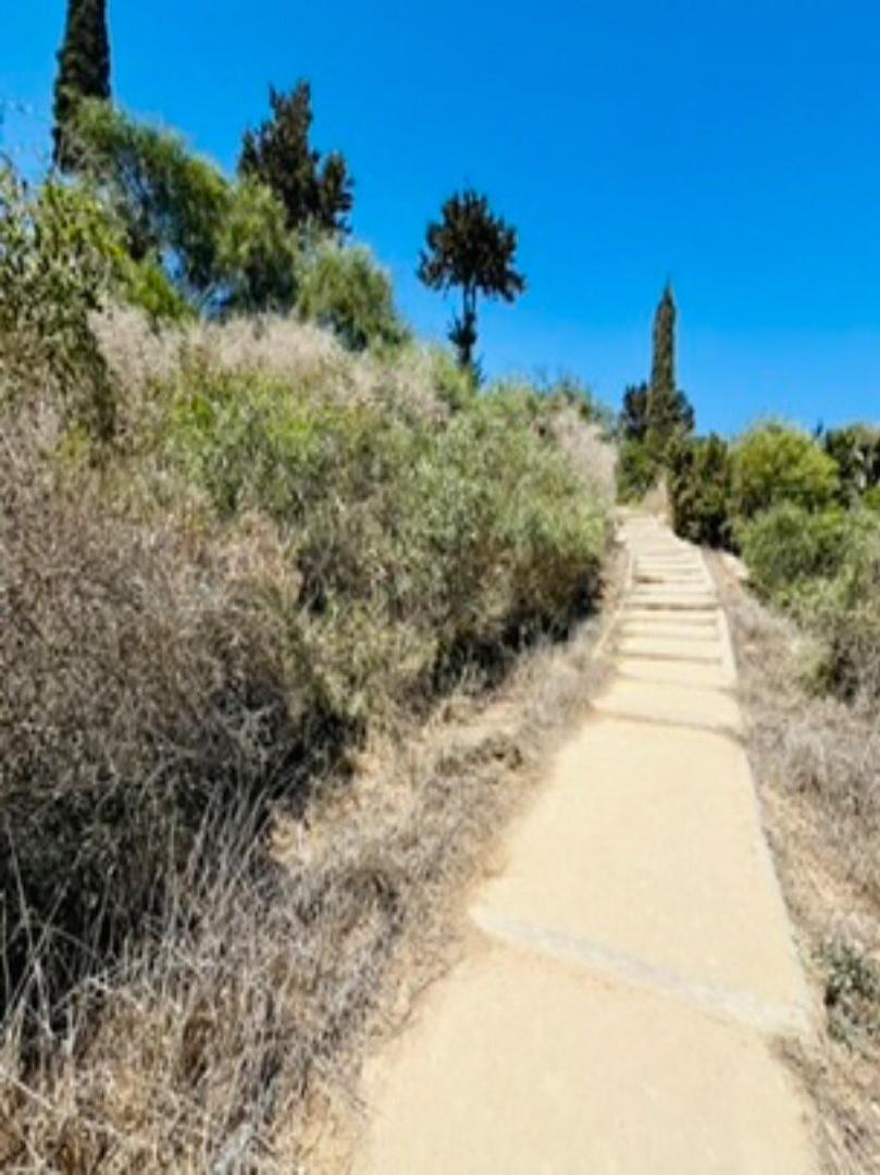 Dirt path uphill walk.