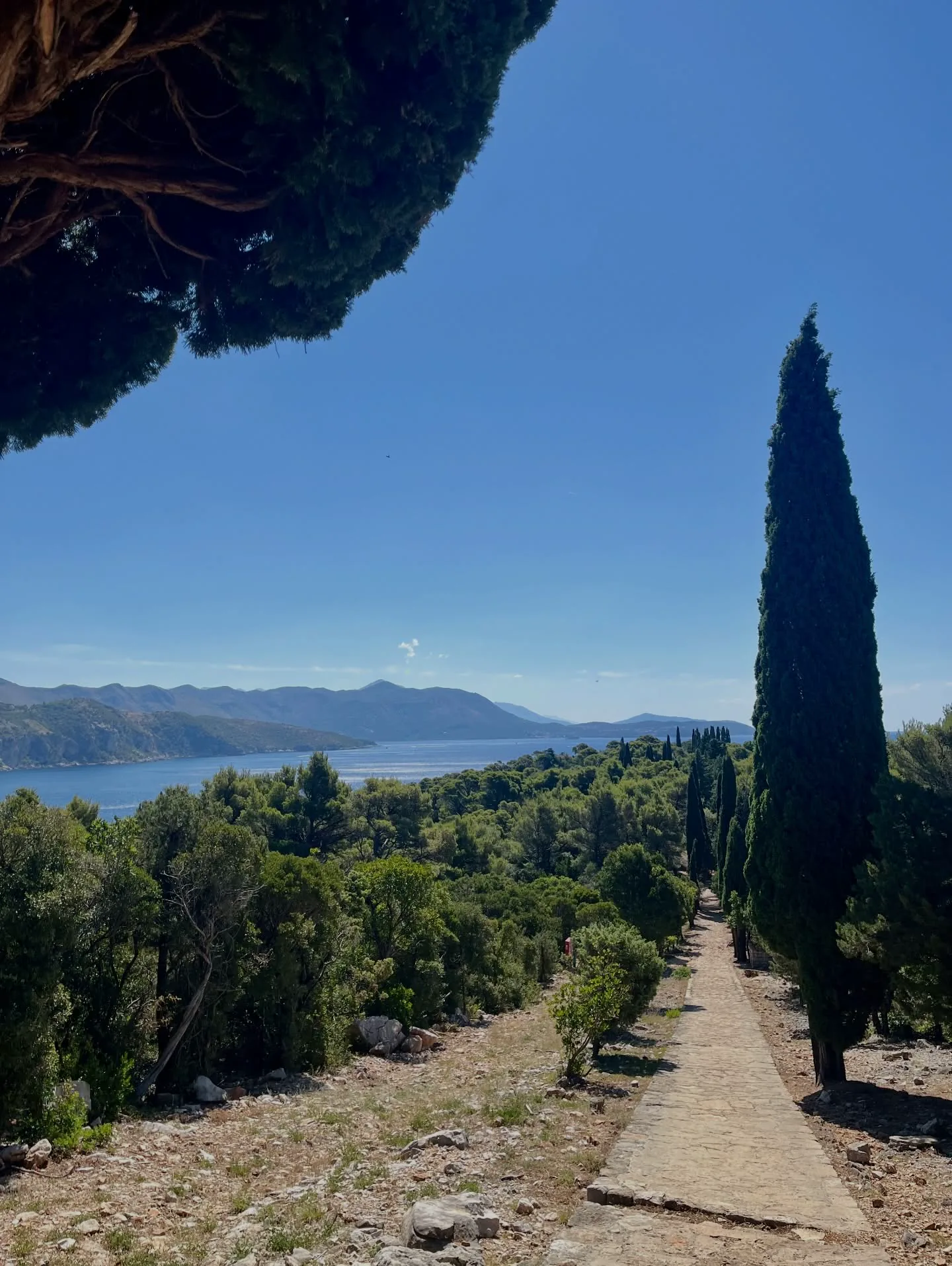 A stone walking path through cypress trees leading towards a bay in Southern Croatia.