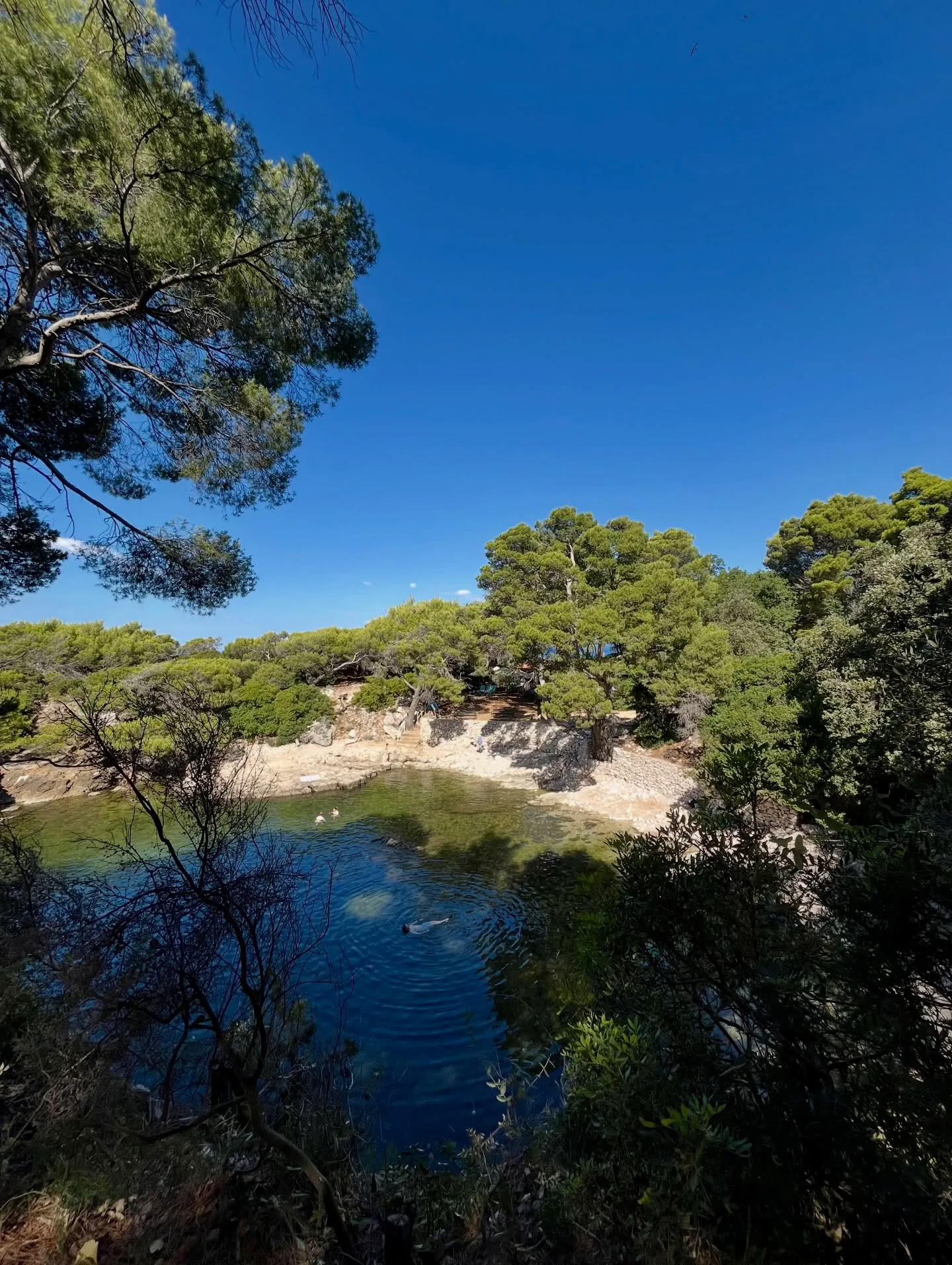 A secluded Croatian cove with clear blue-green water, rocky shores and pine trees.